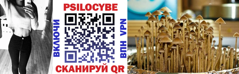 blacksprut tor Чегем Псилоцибиновые грибы Magic Shrooms